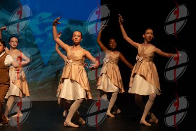 SHOW_00409.jpg